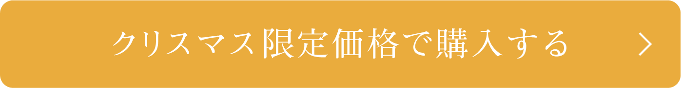 クリスマス限定価格で購入する