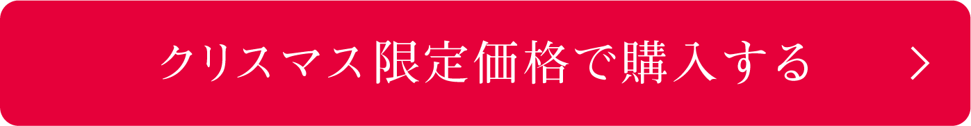 クリスマス限定価格で購入する