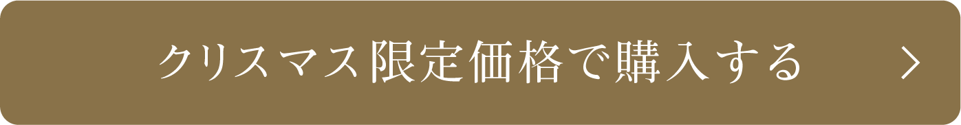 クリスマス限定価格で購入する